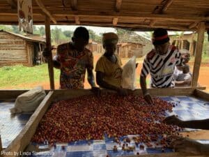 Image of workers at The Coffee Gardens in Uganda