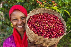 Ethiopian coffee farmer